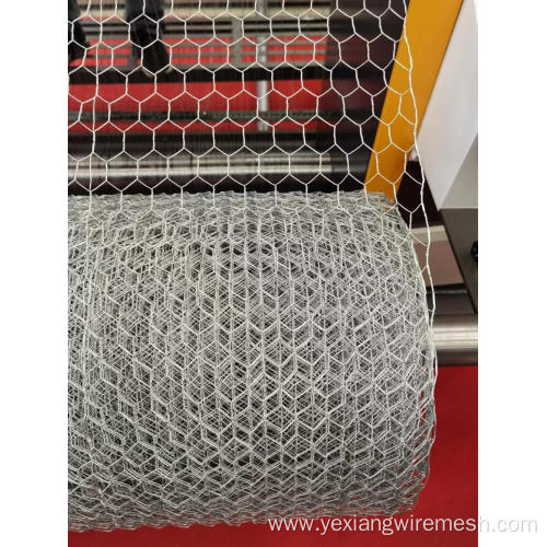 Hexagonal wire Mesh netting